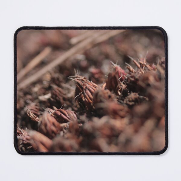 Item preview, Rustic Textured Dried Seed Pods Macro designed and sold by vikko-art.