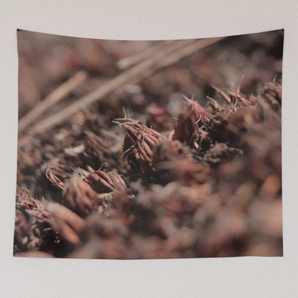 Item preview, Rustic Textured Dried Seed Pods Macro designed and sold by vikko-art.