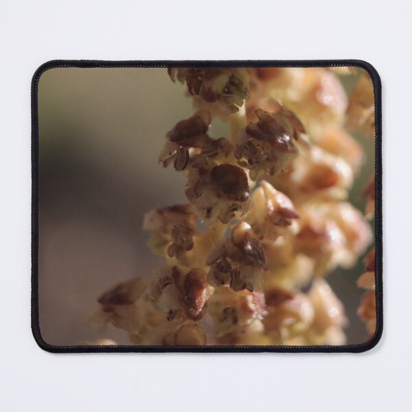 Item preview, Textured Rustic Dried Botanical Macro designed and sold by vikko-art.