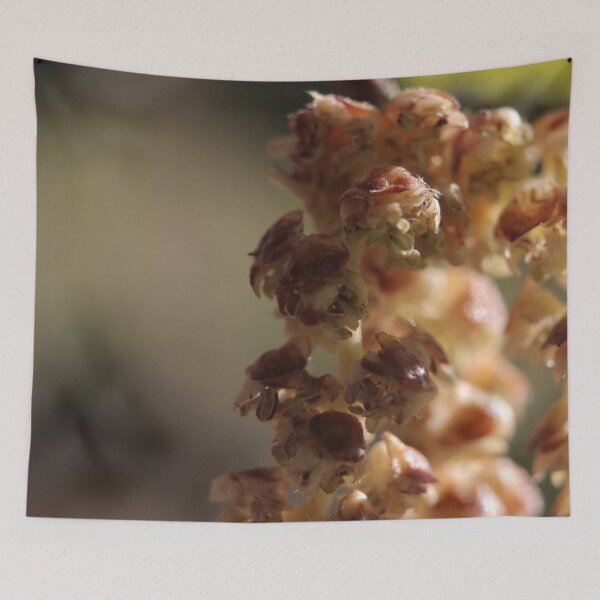 Item preview, Textured Rustic Dried Botanical Macro designed and sold by vikko-art.