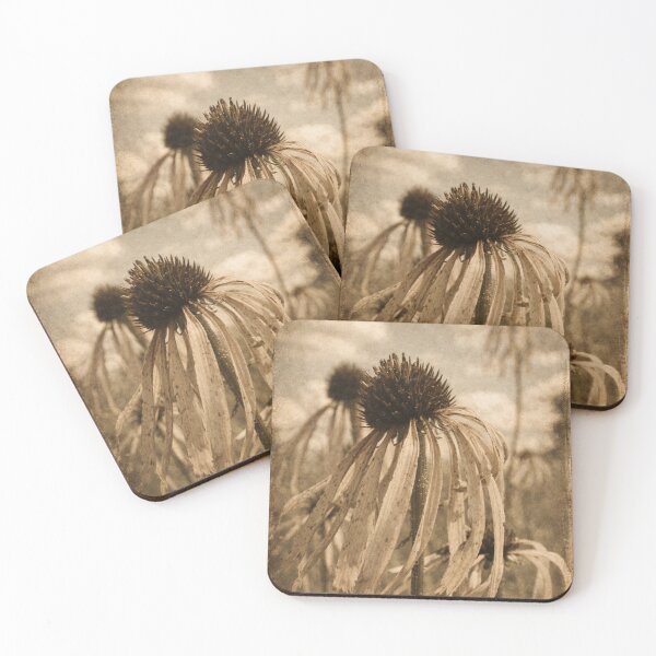 Item preview, Vintage Sepia Echinacea Flower – Rustic Botanical Wall Art designed and sold by Darlin8888.