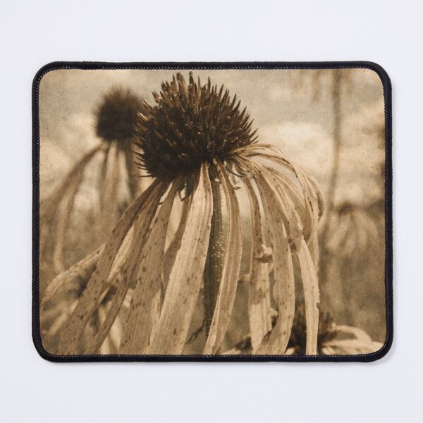Item preview, Vintage Sepia Echinacea Flower – Rustic Botanical Wall Art designed and sold by Darlin8888.