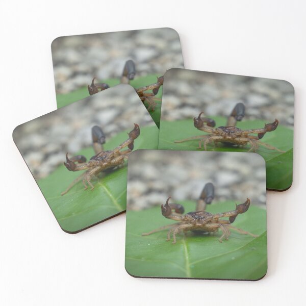 Item preview, Scorpion on Leaf Close Up – Dangerous Wildlife Macro Photography Wall Art designed and sold by WildFrameNature.