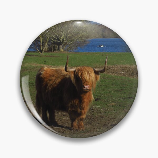 Item preview, Highland Cow, Alton Water, Suffolk designed and sold by wiggyofipswich.