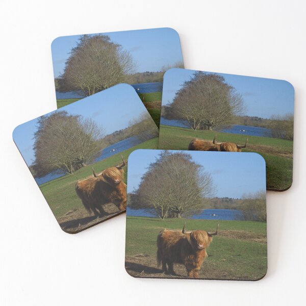 Item preview, Highland Cow, Alton Water, Suffolk designed and sold by wiggyofipswich.