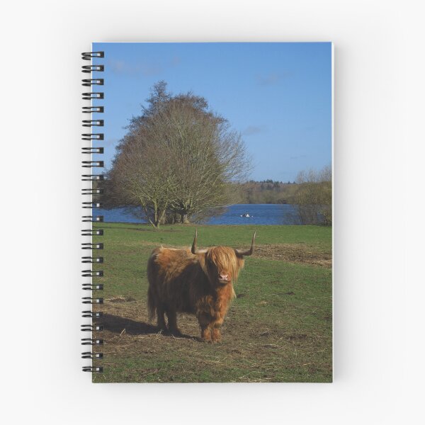 Item preview, Highland Cow, Alton Water, Suffolk designed and sold by wiggyofipswich.