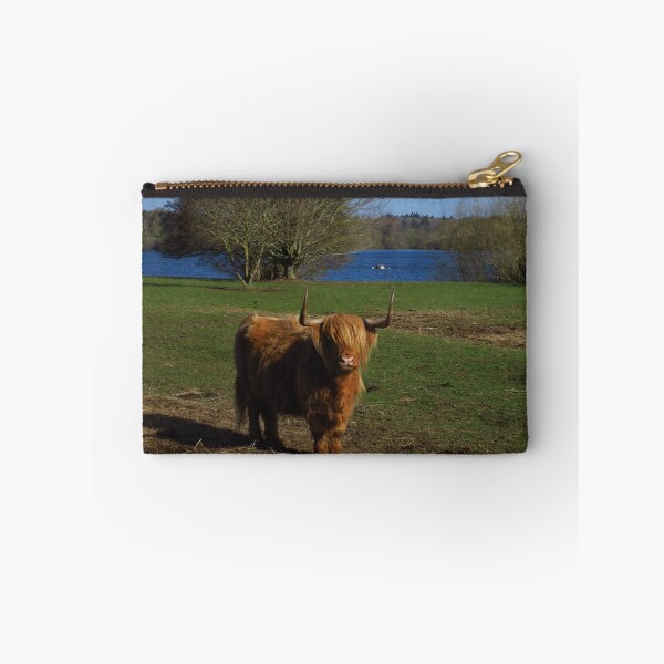 Item preview, Highland Cow, Alton Water, Suffolk designed and sold by wiggyofipswich.