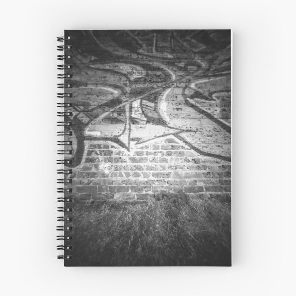 Item preview, Graffiti wall - Pinhole photography  designed and sold by willgudgeon.