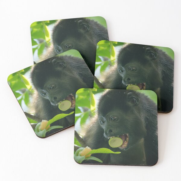 Item preview, Monkey Eating Fruit Close-Up – Tropical Jungle Wildlife Photography designed and sold by WildFrameNature.