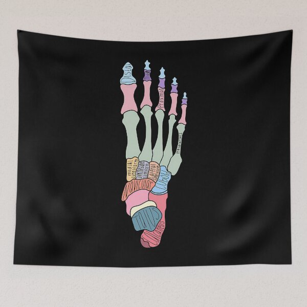 Item preview, Vintage Labeled Foot Anatomy Science Chart designed and sold by dnhysanpz88.