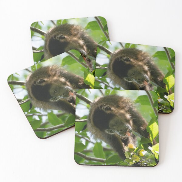 Item preview, Cute Monkey eating – Tropical Jungle Wildlife Photography  designed and sold by WildFrameNature.