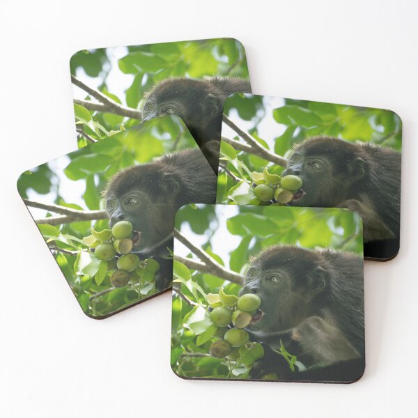 Item preview, Howler Monkey Eating Fruit –  Nature Photography Costa Rica designed and sold by WildFrameNature.