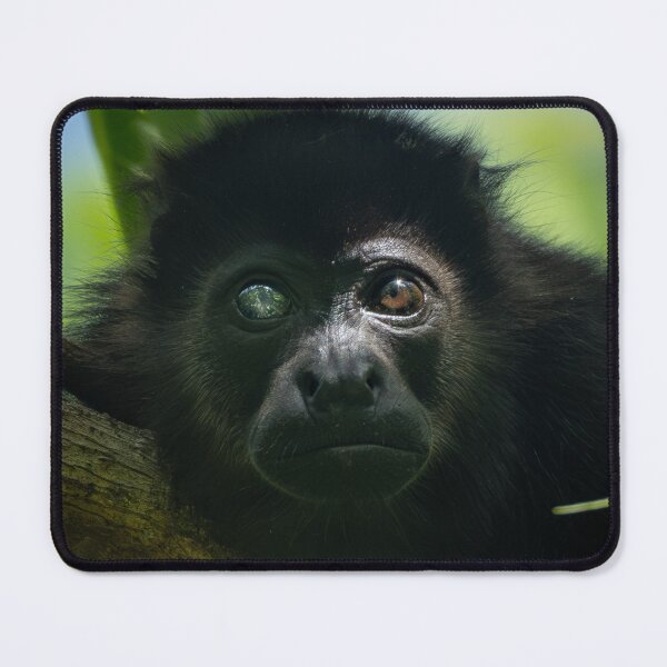 Item preview, Rare Monkey Close Up – Jungle Wildlife Photography  designed and sold by WildFrameNature.