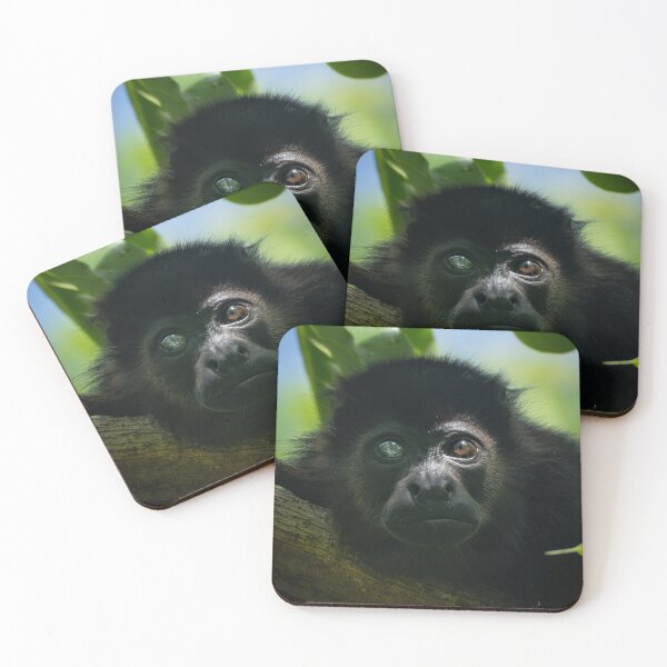 Item preview, Rare Monkey Close Up – Jungle Wildlife Photography  designed and sold by WildFrameNature.