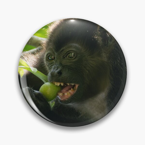 Item preview, Howler Monkey Eating Fruit in Jungle – Wildlife Photography  designed and sold by WildFrameNature.