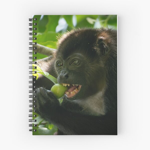 Item preview, Howler Monkey Eating Fruit in Jungle – Wildlife Photography  designed and sold by WildFrameNature.