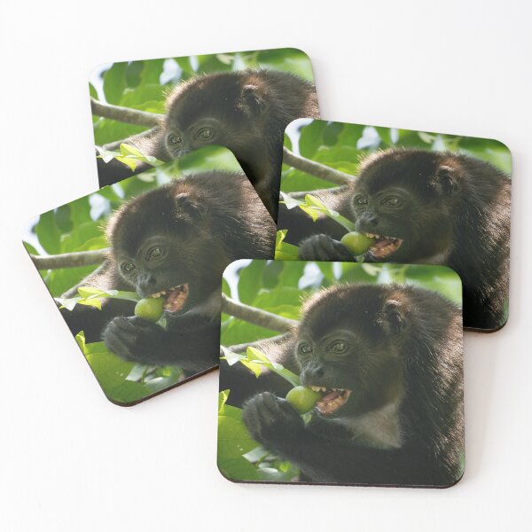 Item preview, Howler Monkey Eating Fruit in Jungle – Wildlife Photography  designed and sold by WildFrameNature.