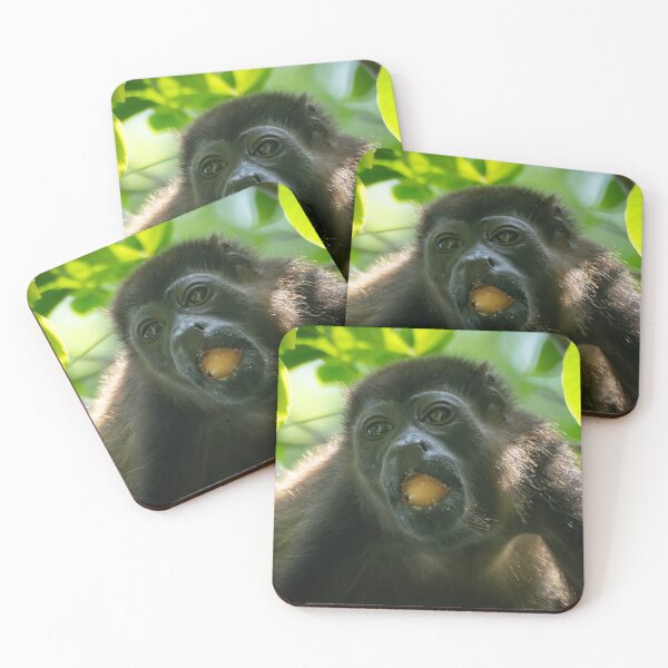 Item preview, Funny Monkey Eating Fruit  – Tropical Costa Rica Photography  designed and sold by WildFrameNature.