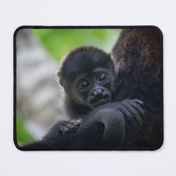 Item preview, Cute Baby Monkey Close Up – Adorable Primate Jungle Photography  designed and sold by WildFrameNature.