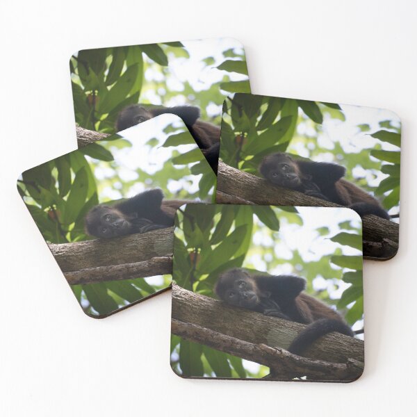 Item preview, Baby Howler Monkey Resting  – Calm Wildlife Photography  designed and sold by WildFrameNature.