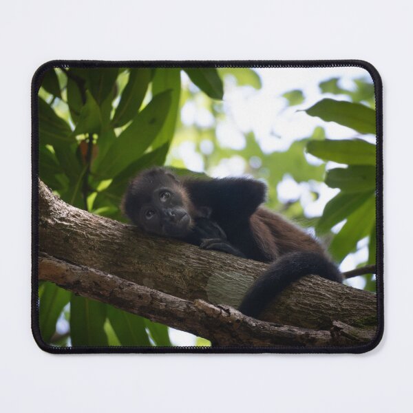 Item preview, Baby Howler Monkey Resting  – Calm Wildlife Photography  designed and sold by WildFrameNature.
