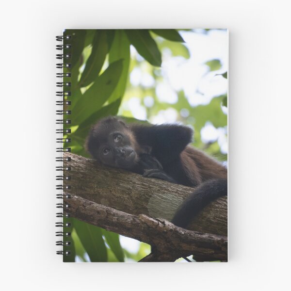 Item preview, Baby Howler Monkey Resting  – Calm Wildlife Photography  designed and sold by WildFrameNature.