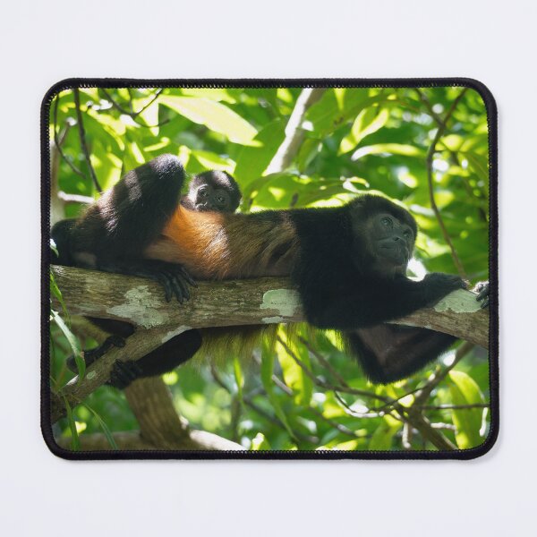 Item preview, Adorable Monkey Family – Wildlife Photography Costa Rica designed and sold by WildFrameNature.