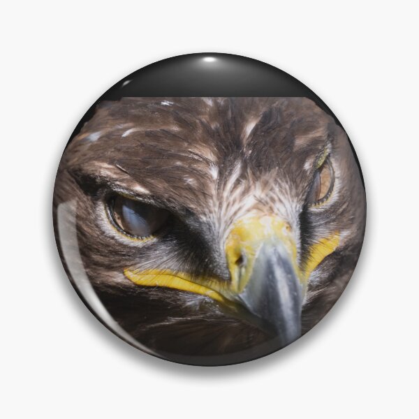 Item preview, the eagle's sharp gaze designed and sold by Ingo Gerlach.