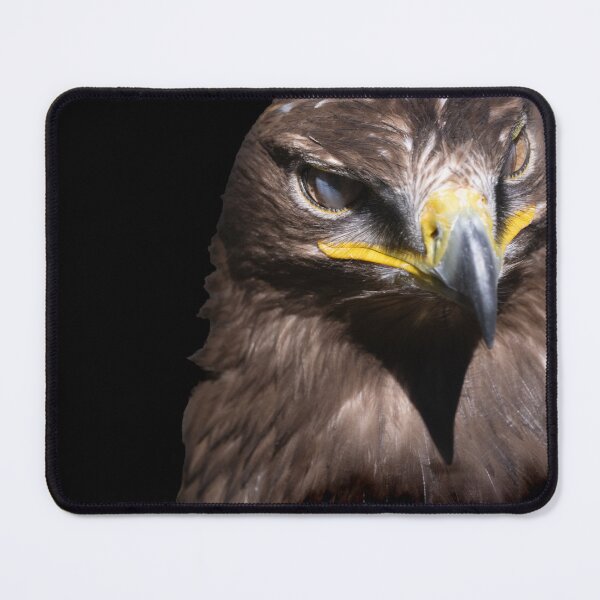 Item preview, the eagle's sharp gaze designed and sold by Ingo Gerlach.