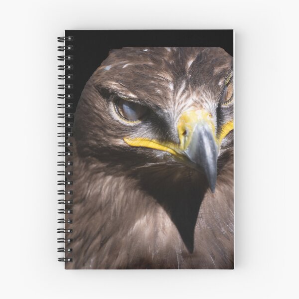 Item preview, the eagle's sharp gaze designed and sold by Ingo Gerlach.
