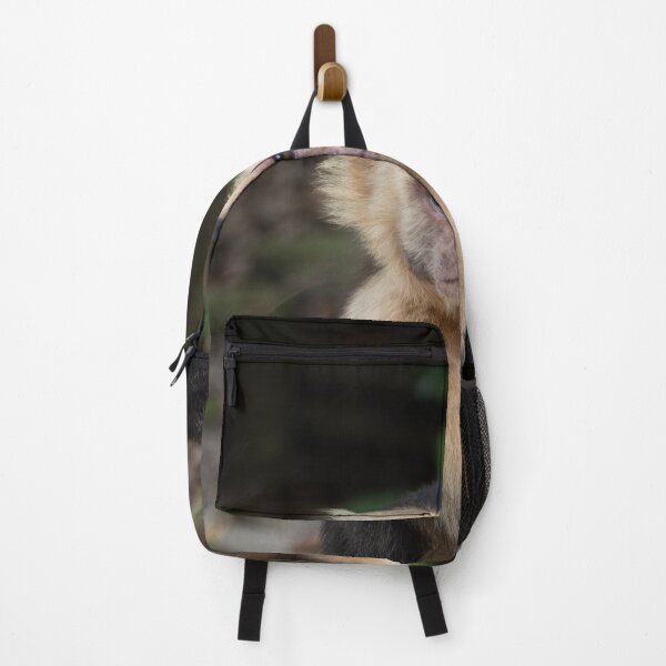 Item preview, Grumpy Capuchin Monkey Portrait – Jungle Wildlife Photography  designed and sold by WildFrameNature.
