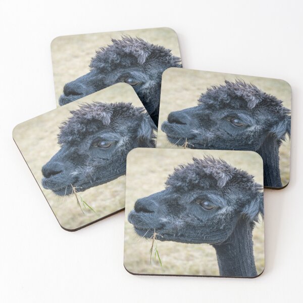 Item preview, Cute Black Alpaca Portrait – Cute Farm Animal Photography designed and sold by WildFrameNature.