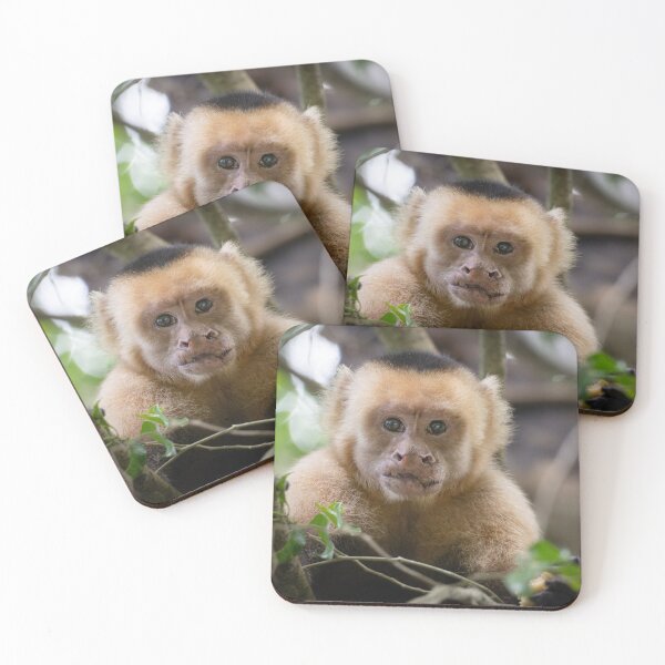 Item preview, Cute Capuchin Monkey Portrait – Adorable Baby Monkey Photography  designed and sold by WildFrameNature.