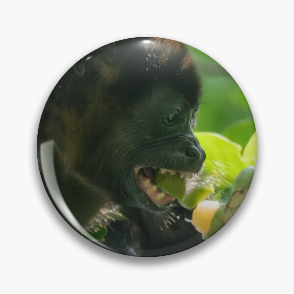 Item preview, Howler Monkey Eating Fruit – Jungle Action Photography  designed and sold by WildFrameNature.