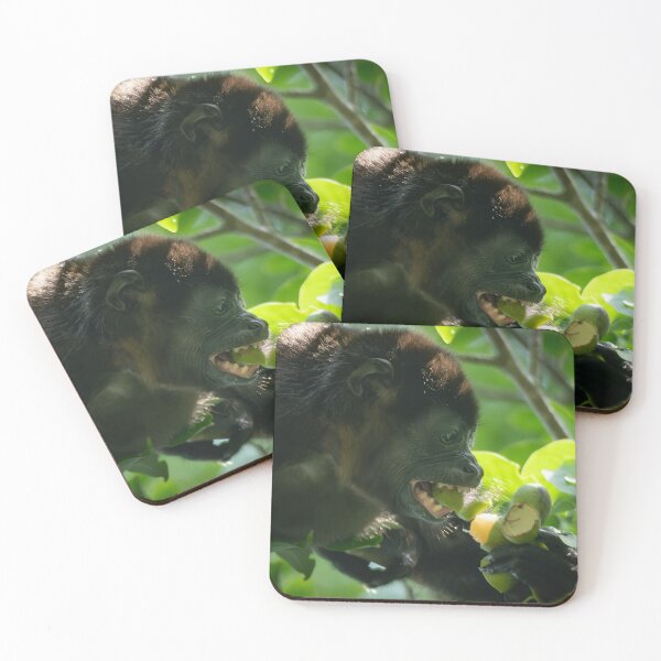 Item preview, Howler Monkey Eating Fruit – Jungle Action Photography  designed and sold by WildFrameNature.