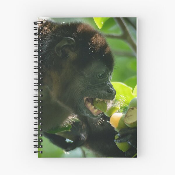 Item preview, Howler Monkey Eating Fruit – Jungle Action Photography  designed and sold by WildFrameNature.