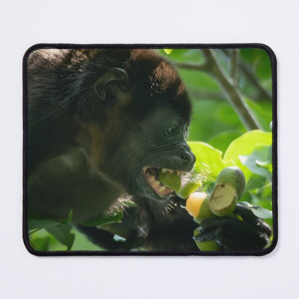 Item preview, Howler Monkey Eating Fruit – Jungle Action Photography  designed and sold by WildFrameNature.