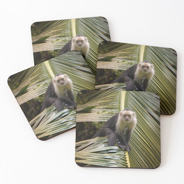 Item preview, Capuchin Monkey on Palm Leaf – Tropical Wildlife Moment Costa Rica designed and sold by WildFrameNature.