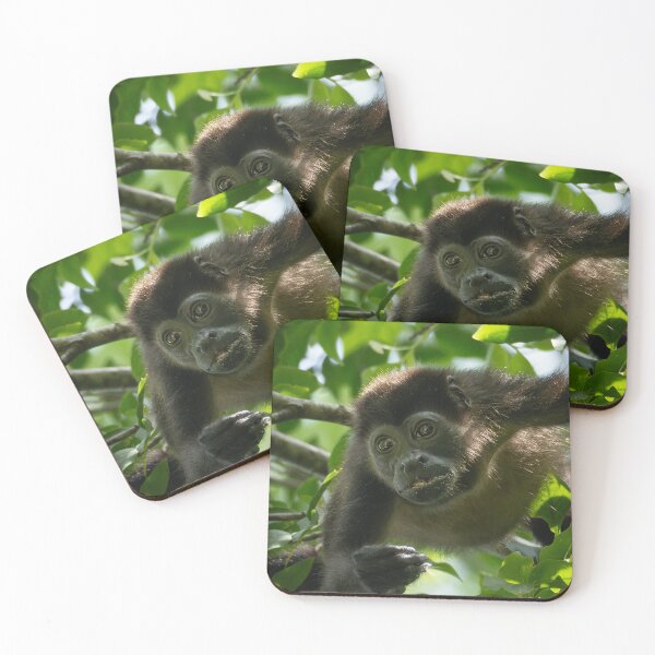 Item preview, Howler Monkey hanging around – Animal Portrait  designed and sold by WildFrameNature.