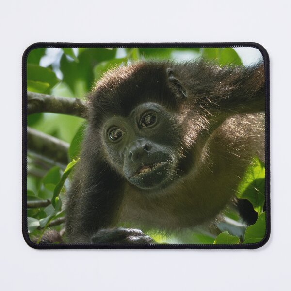 Item preview, Howler Monkey hanging around – Animal Portrait designed and sold by WildFrameNature.