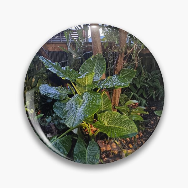 Item preview, Backyard Garden in Sunset  designed and sold by Jasbindar Singh.