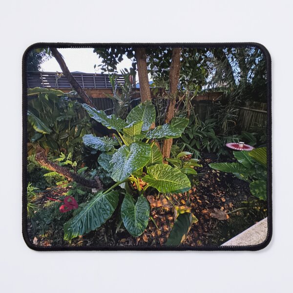 Item preview, Backyard Garden in Sunset designed and sold by Jasbindar Singh.