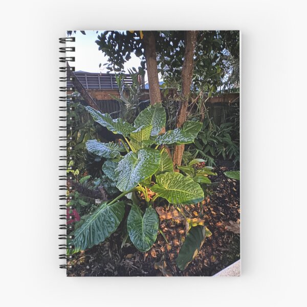 Item preview, Backyard Garden in Sunset  designed and sold by Jasbindar Singh.