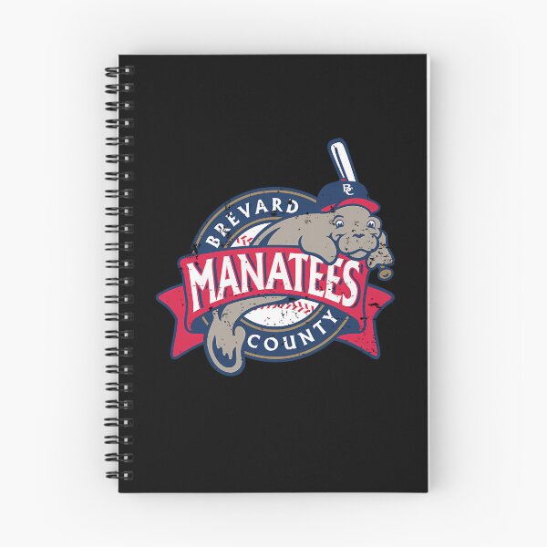 Item preview, Brevard County Mana Defunct Baseball designed and sold by Ck-2106design.