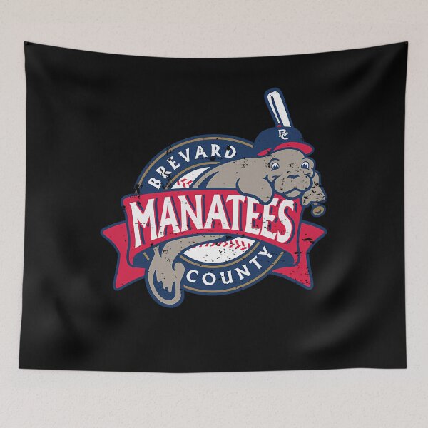 Item preview, Brevard County Mana Defunct Baseball designed and sold by Ck-2106design.