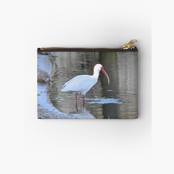 Item preview, White Ibis  designed and sold by Glennphotos.