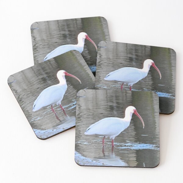 Item preview, White Ibis  designed and sold by Glennphotos.