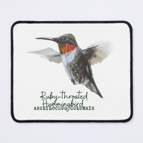 Item preview, Ruby-Throated Hummingbird Drawing with Latin Name Label designed and sold by Heather Barker.