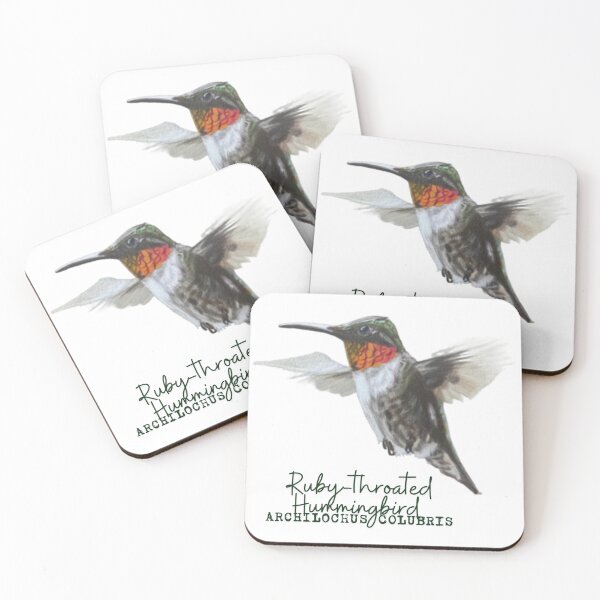 Item preview, Ruby-Throated Hummingbird Drawing with Latin Name Label designed and sold by Heather Barker.