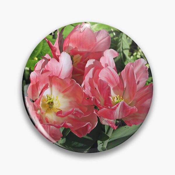 Aperçu de l'œuvre Tulipe rose créée et vendue par Katy Fryd.
